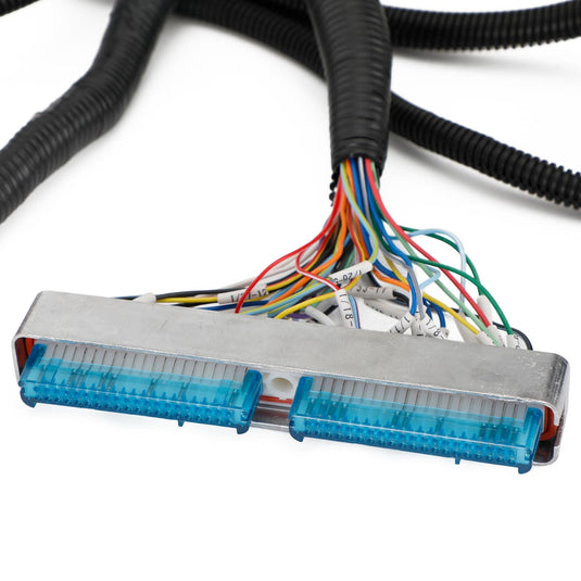 LS Swap Stand Alone Wiring Harness for LS1 DBC 4.8 5.3 6.0 97-06 4L60E 4L80E | Plug & Play