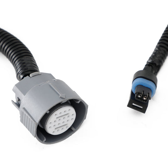 LS Swap Stand Alone Wiring Harness for LS1 DBC 4.8 5.3 6.0 97-06 4L60E 4L80E | Plug & Play